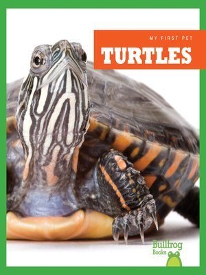 cover image of Turtles